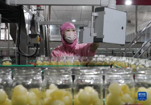 河北遵化：农产品深加工助力乡村振兴